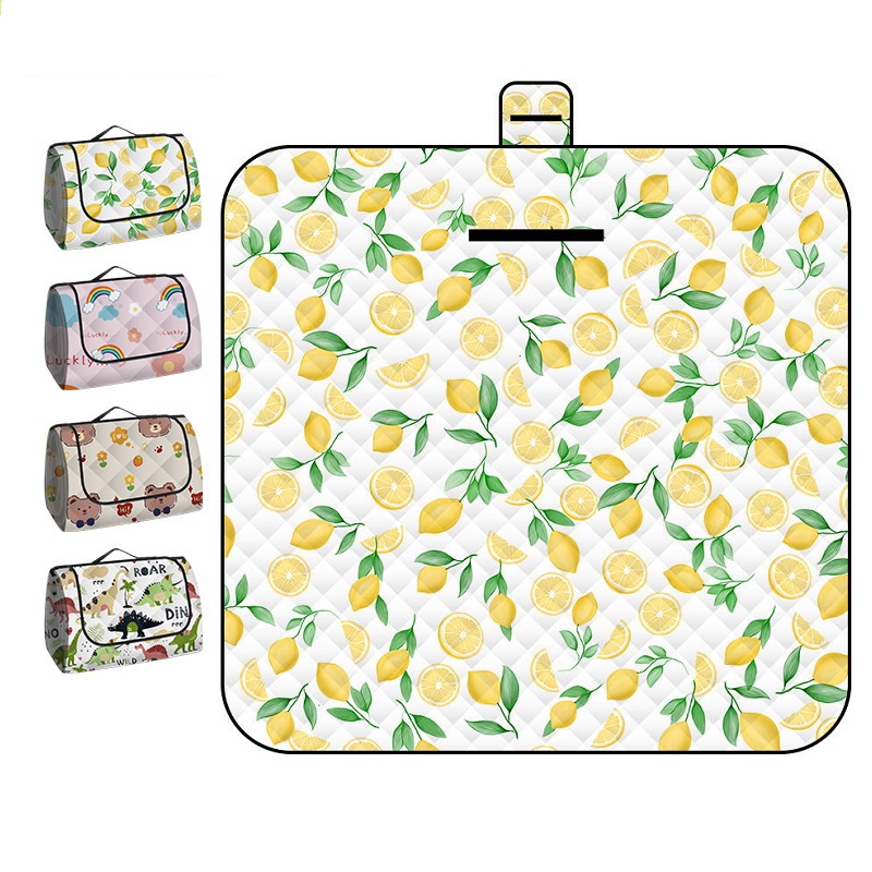 150*200CM Portable Picnic Mat  - Repotting Mat 评论和价格