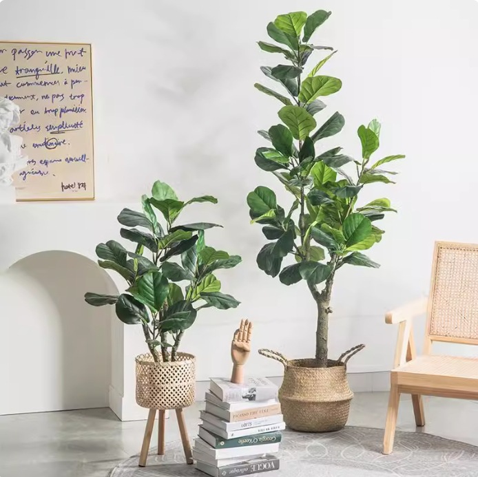 Artificial Plastic Potted Plan - Fiddle Leaf Fig 评论和价格