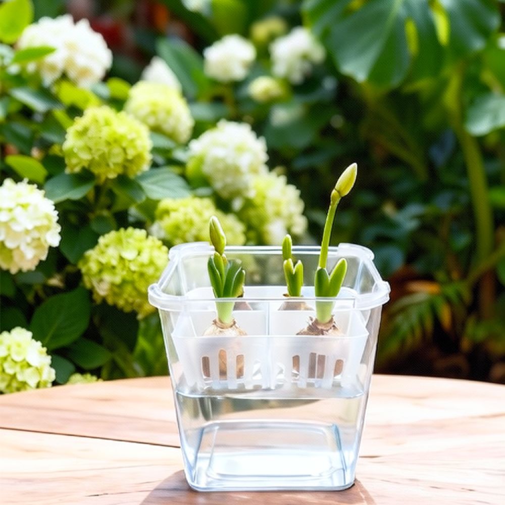 Hydroponic Vase For Tulip Lily - Indoor Plants 评论和价格