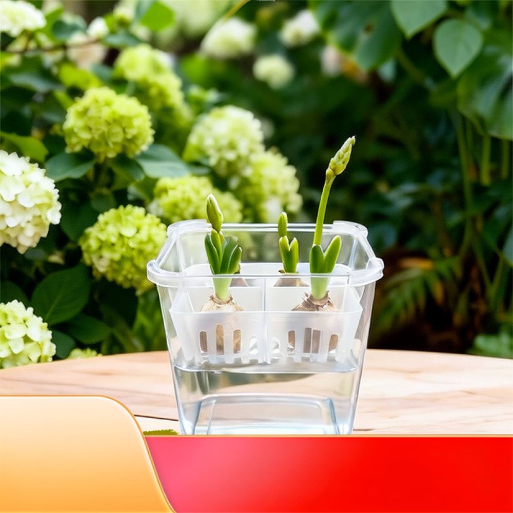Hydroponic Vase For Tulip Lily - Indoor Plants 评论和价格