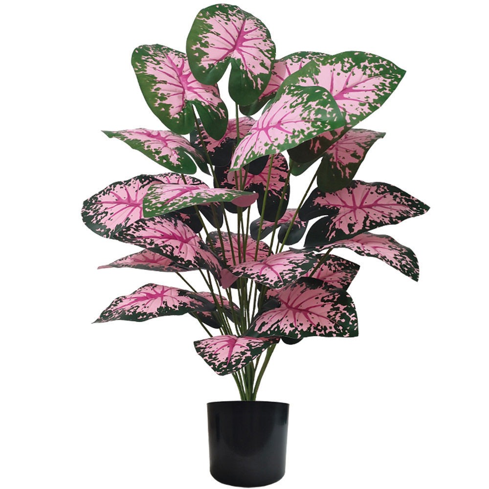 Pink Leaf Potted Plants Fake A - Snake Plant 评论和价格