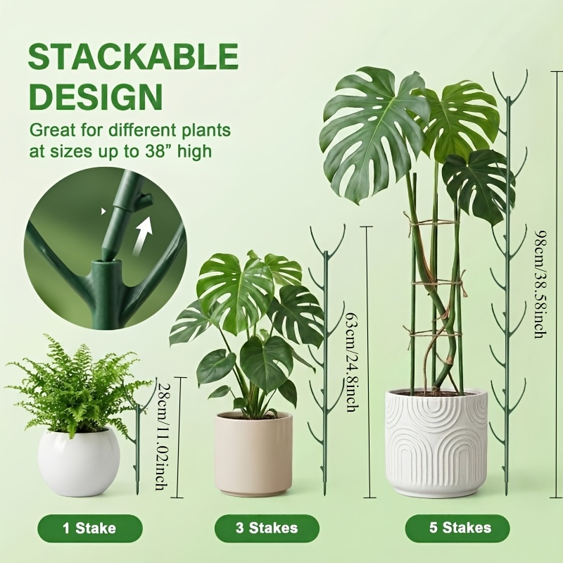 Monstera Plant Support Stakes  - Plant Support Stake 评论和价格