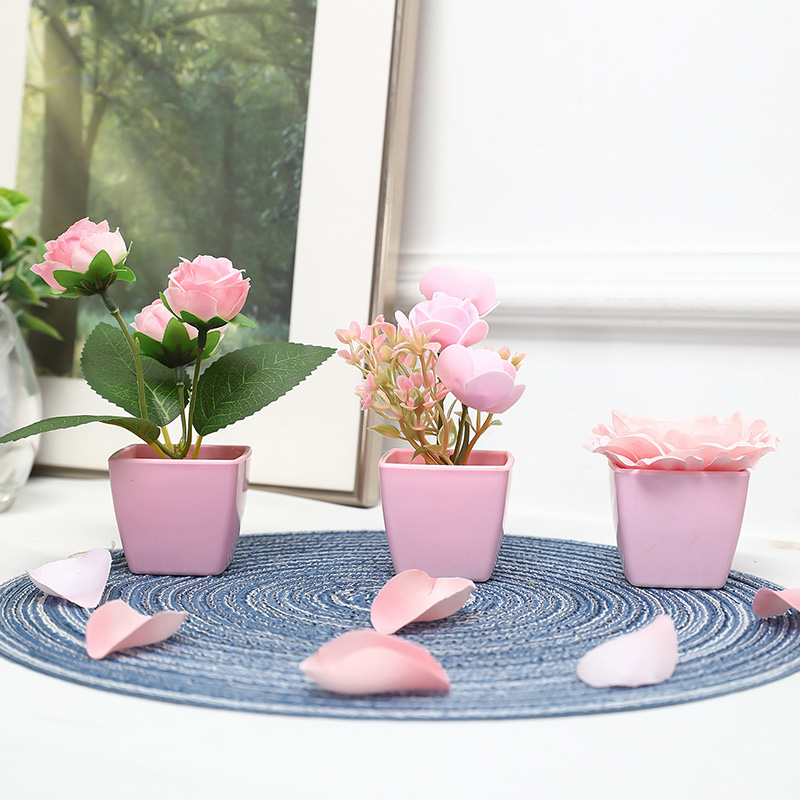(A set of 3PCS) Simulated Mini - Succulent Set 评论和价格
