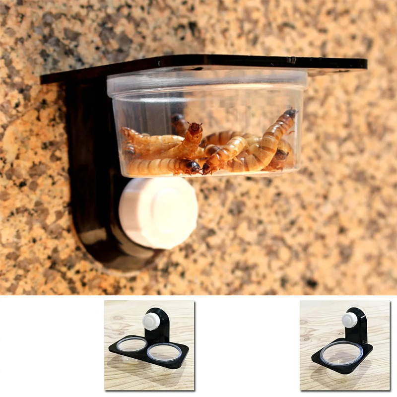 Reptile Tank Accessories Insec - Snake Plant 评论和价格