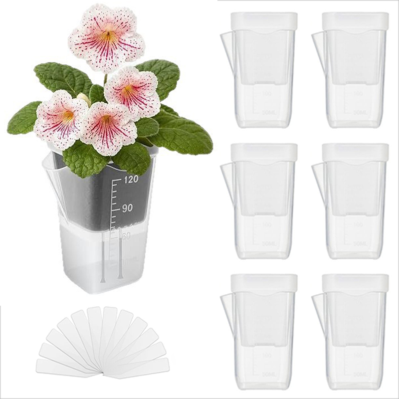 16/32 Pack Self-Watering Plant - Pothos 评论和价格