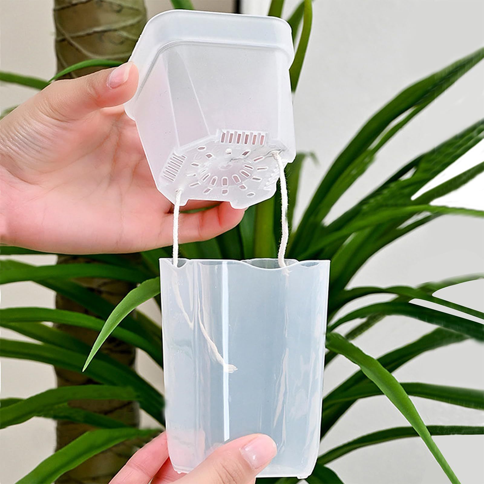 16/32 Pack Self-Watering Plant - Pothos 评论和价格