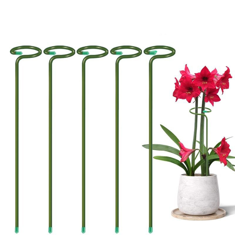 1-10pcs Metal Single Stem Plan - Plant Support Stake 评论和价格