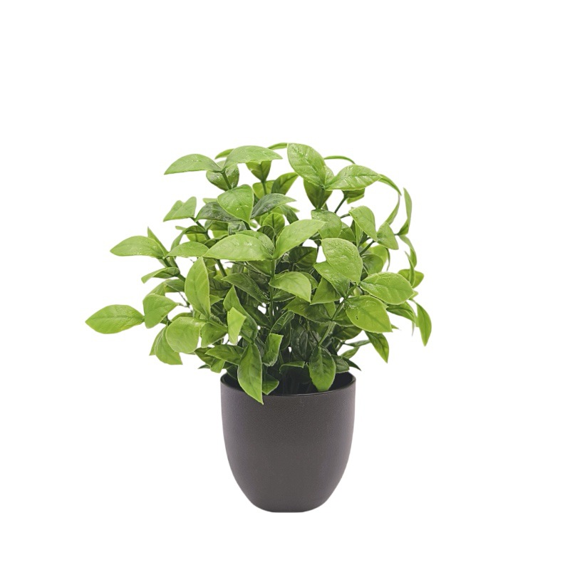 Simulation Green Plant Bonsai  - Succulent Set 评论和价格