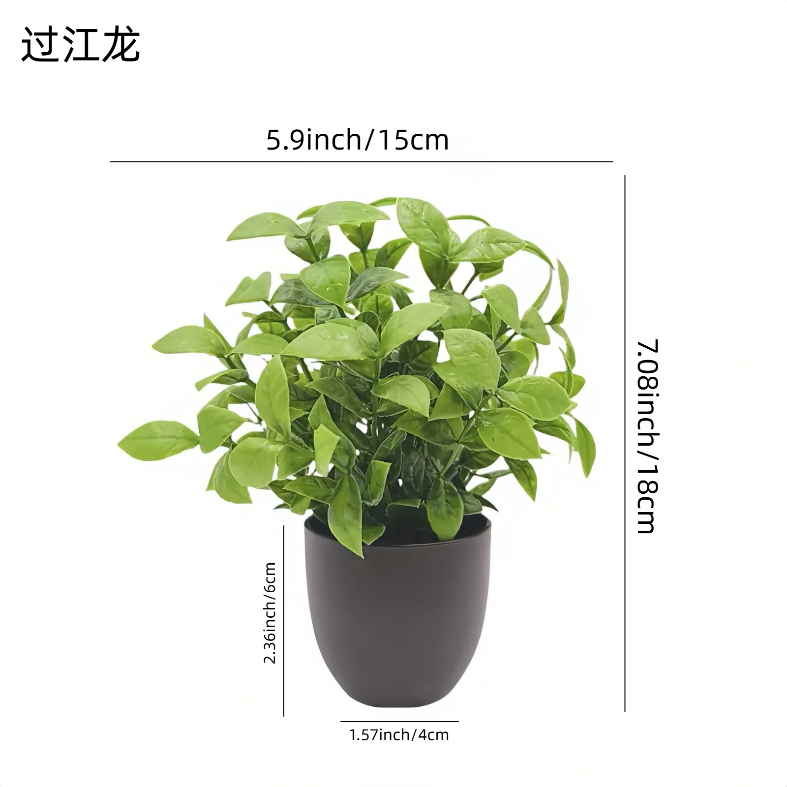 Simulation Green Plant Bonsai  - Succulent Set 评论和价格