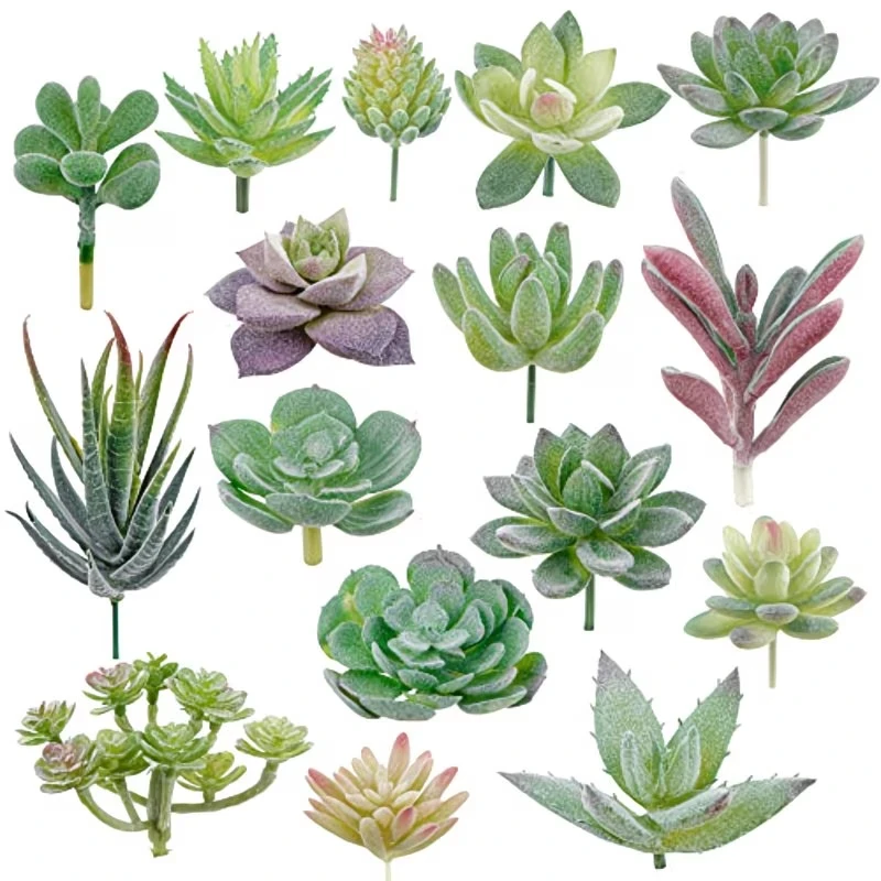 10/20Pcs PVC Succulents Plants - Snake Plant 评论和价格